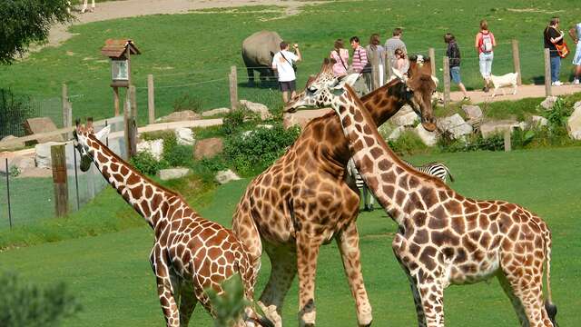 Cerza zoo