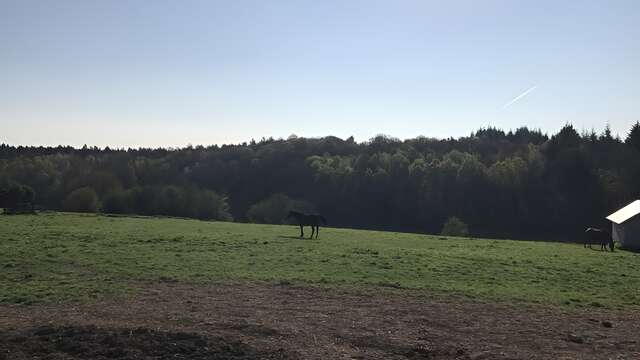 Le Gîte du Haras - Chez Anne-Pascale Larue
