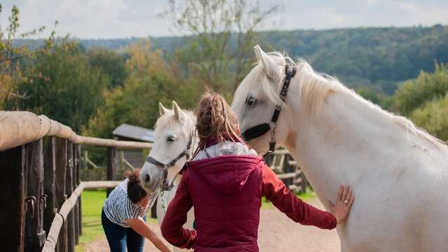 Balade à cheval (1 journée) aux Chevaux de Marolles