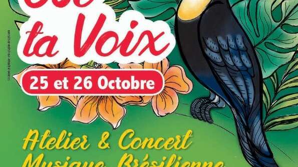 Atelier et concert de musique Brésilienne