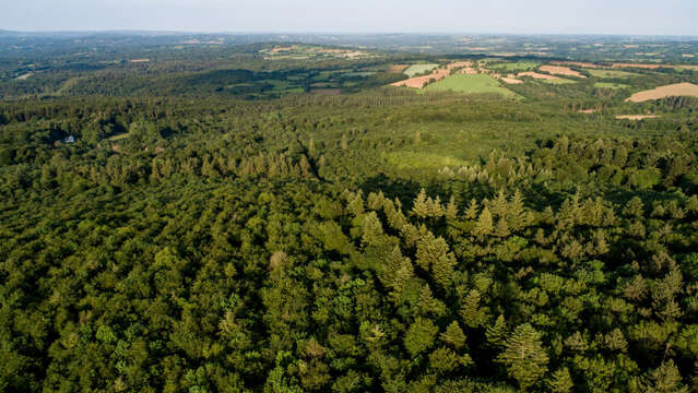 Balade sur le sentier de Job le bûcheron en forêt de Beffou