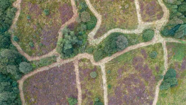 Réserve Naturelle Régionale des landes, prairies et étangs de Plounérin