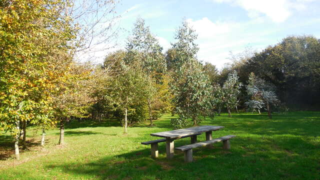 Aire couverte de l'arboretum de Beffou