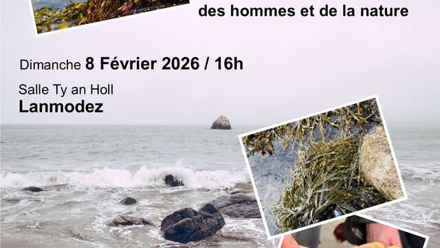 Les algues - Conférence