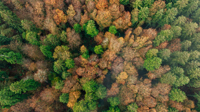 Le Pavé - Point culminant du Trégor