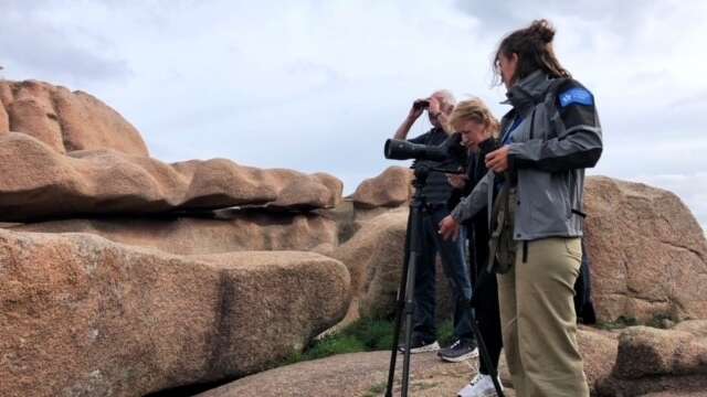 Balade Initiation Naturaliste