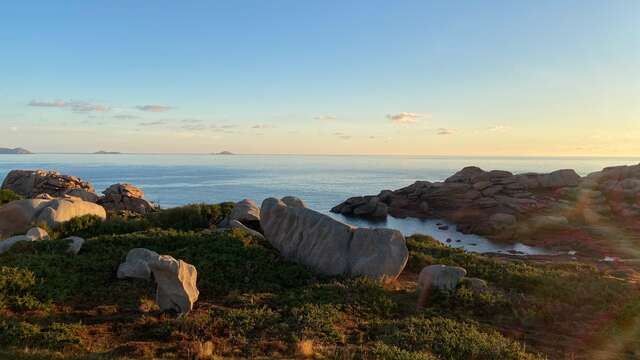 Balade nature : granit rose et biodiversité