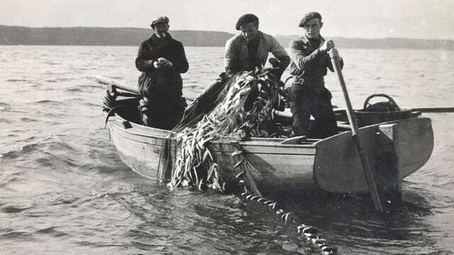 La pêche à la sardine à Locquémeau