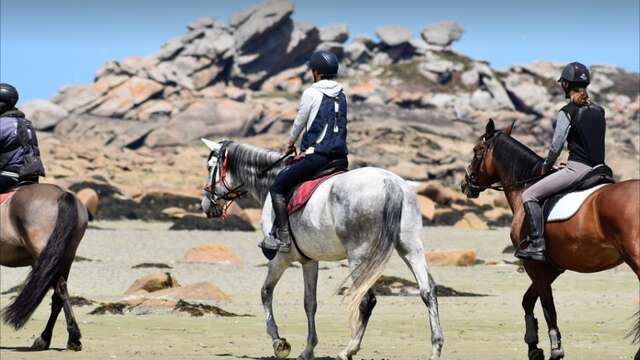 Equitation Saint Samson