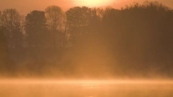 Etang de Beffou