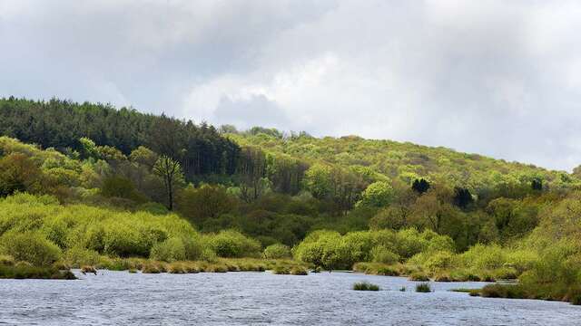 Etangs du Guic