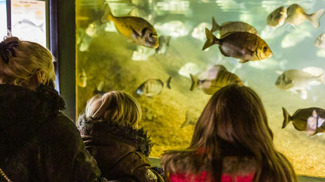 Aquarium Marin de Trégastel