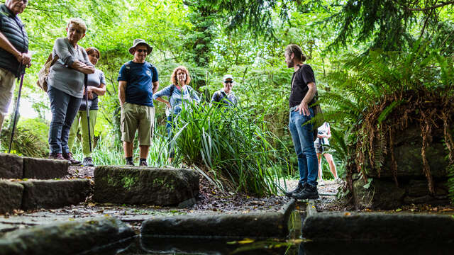 Balade nature en breton : Au fil du lin, de la culture à la texture, une aventure singulière