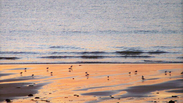 Plage de Landrellec