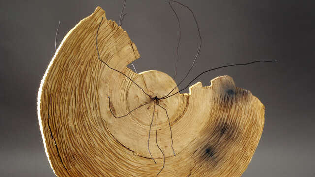 Michelle Winckler - Sculpture - Circuit des Chapelles