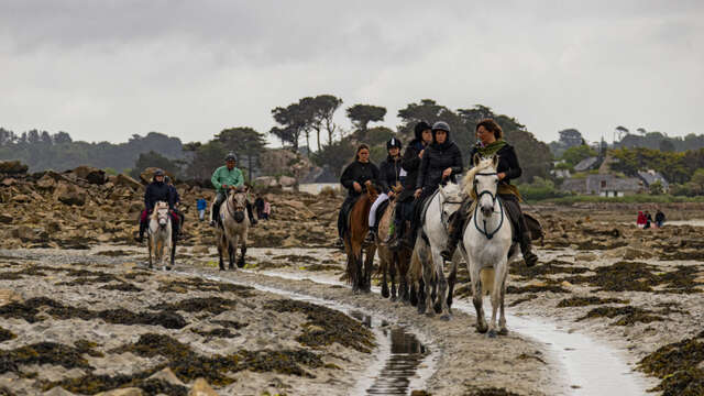 Pardon aux chevaux de Saint Gildas