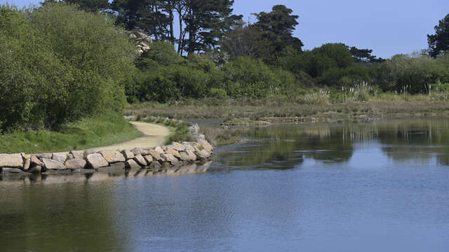 Promenade accessible - Le lac des cygnes