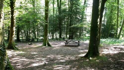 Aire sud de la forêt de Beffou