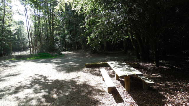 Aire de la maison forestière de Beffou