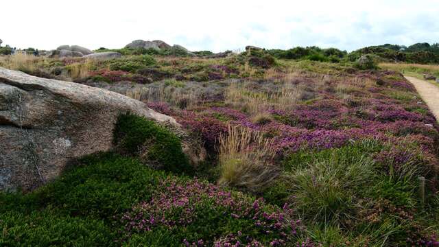 Balade nature