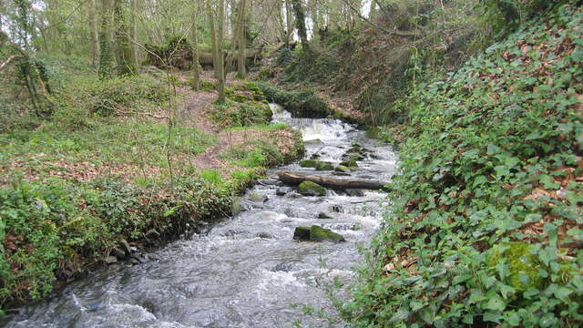 Vallée du Bizien