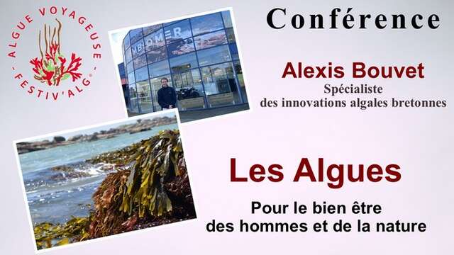 Les algues pour le bien-être des hommes et de la nature