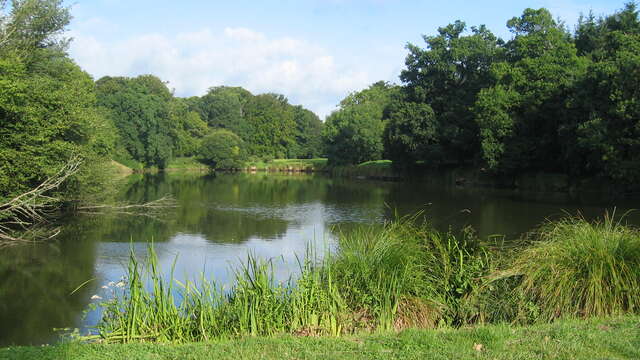 Etangs de Milin Saezh