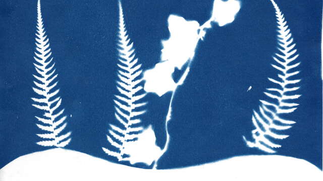 Graines de rivières sauvages - Cyanotypes et poésies - Léguer en fête