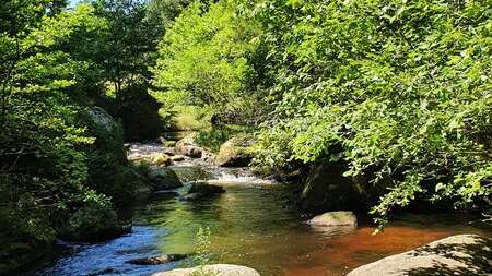 Vallée du Thaurion