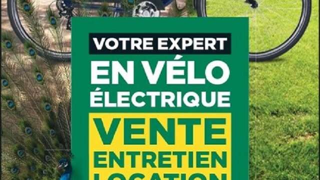 Location de vélos électriques : Feu Vert