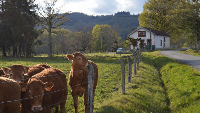 Le Tourtoulloux