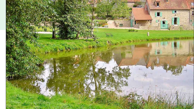 La Rainette