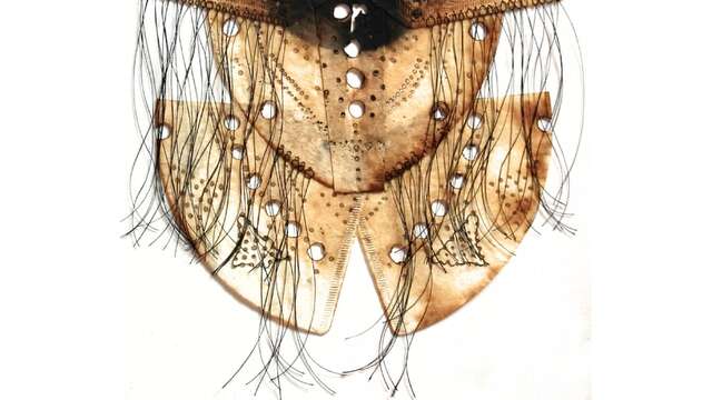 Exposition - Couleur Café