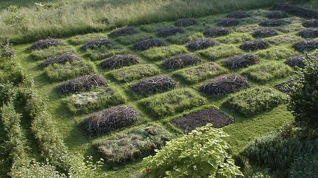 Promenade-découverte au jardin d'hélys-oeuvre
