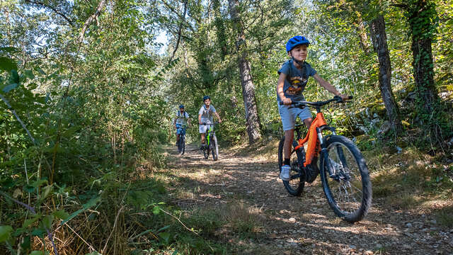 Été actif - VTT électrique