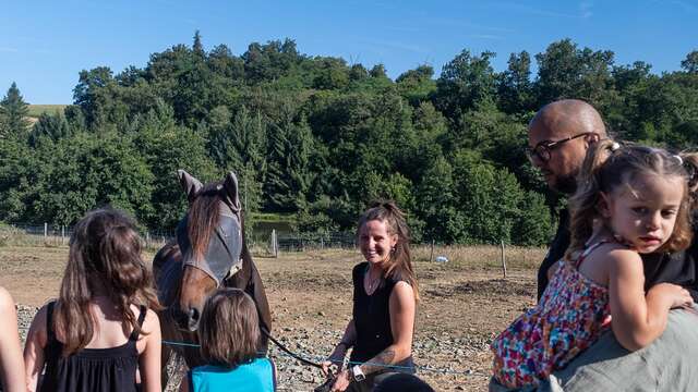 Cours particulier d'équitation