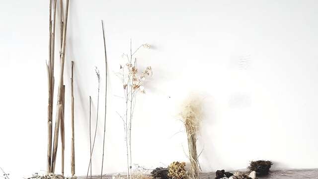 Stage : Créons avec la nature avec Gaelle Lemetayer