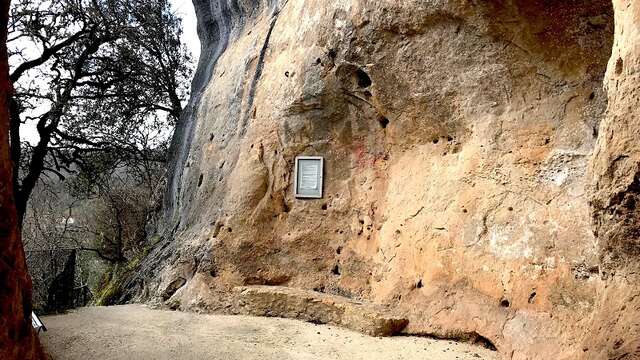 Visite approfondie de la Grotte de Font de Gaume