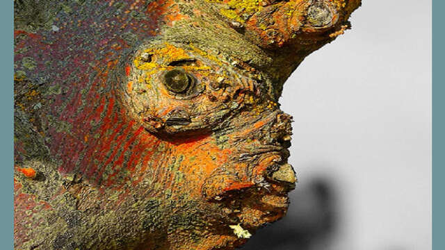 Exposition I Alain Durieux & Bruno Boigontier
