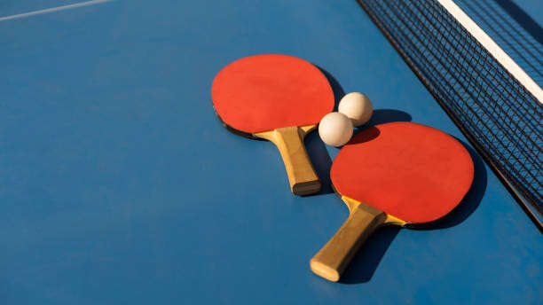 Sport pour tous : tennis de table