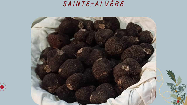 Marché aux Truffes de Sainte-Alvère