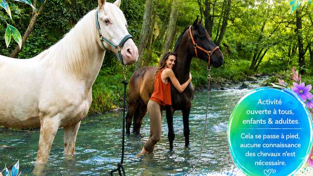 Baignade et détente avec les chevaux