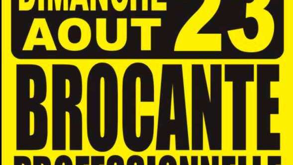 Brocante professionnelle