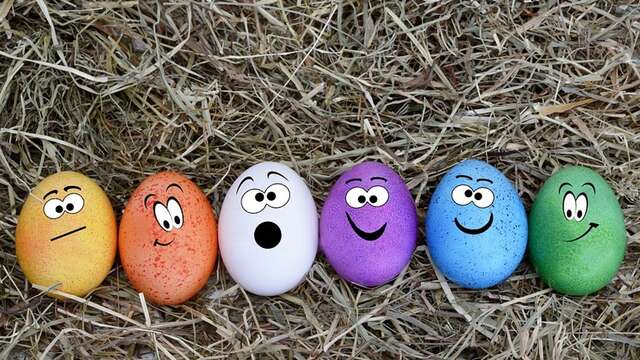 Chasse aux oeufs dans les arbres