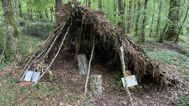 Visite guidée de la charbonnière