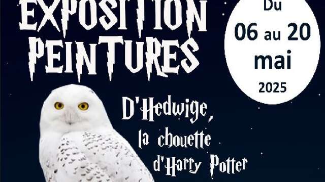 Expo peinture d’Hedwige, la chouette d’Harry Potter