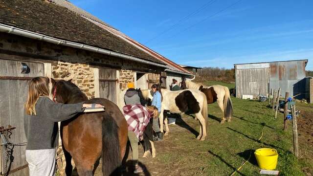 Été actif - visite active de ferme