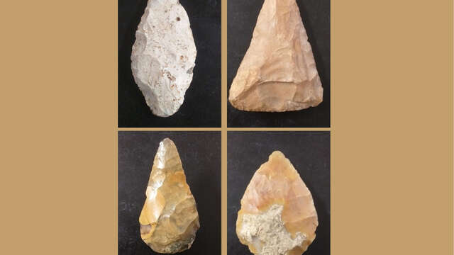 Journées Européennes de l'archéologie | La journée du Comité du CEHARE