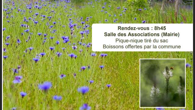 Sortie botanique