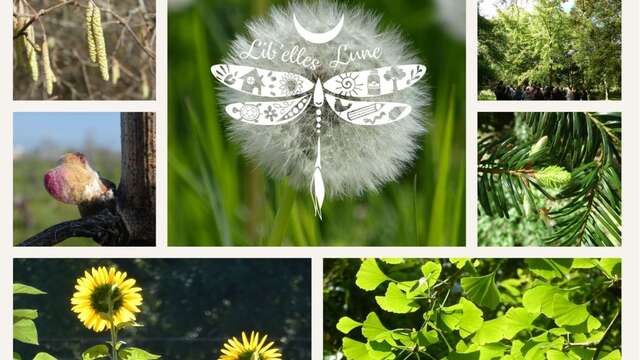 Atelier : découverte de la Gemmothérapie